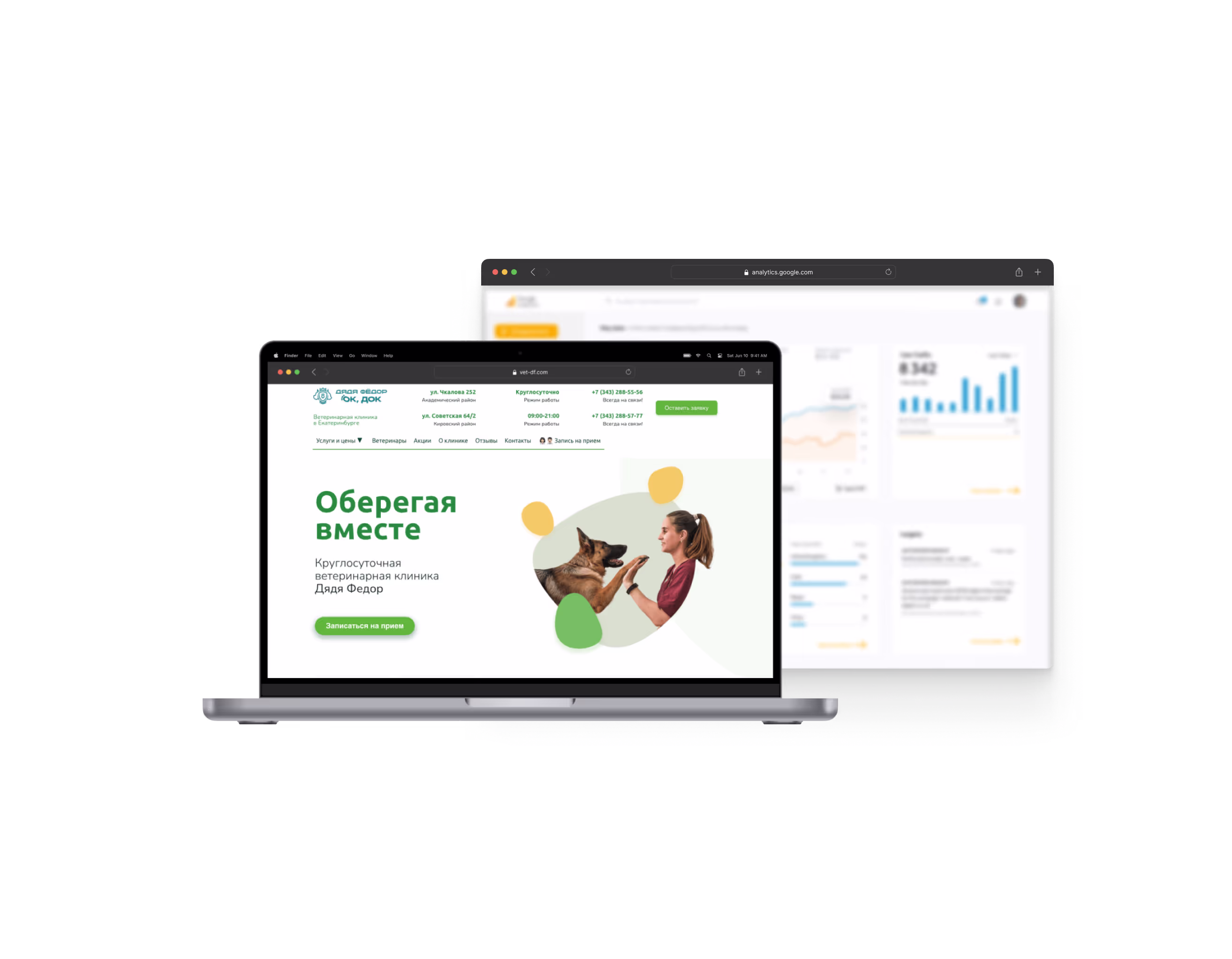 Интернет-продвижение вет-клиник | leademy digital